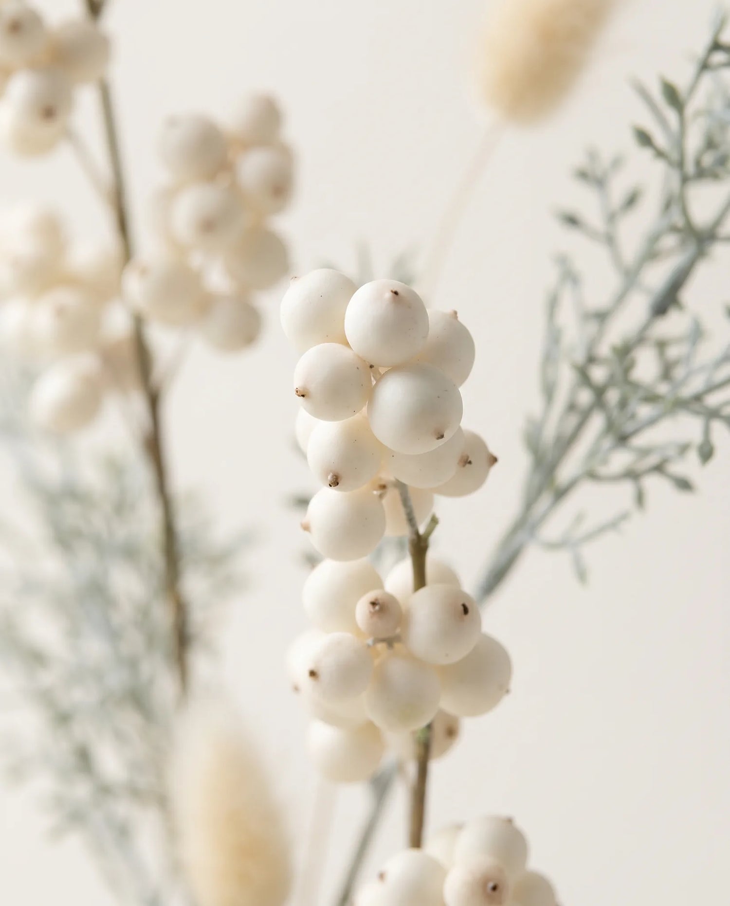 Gros plan sur la symphorine artificielle de « Perles de Neige »