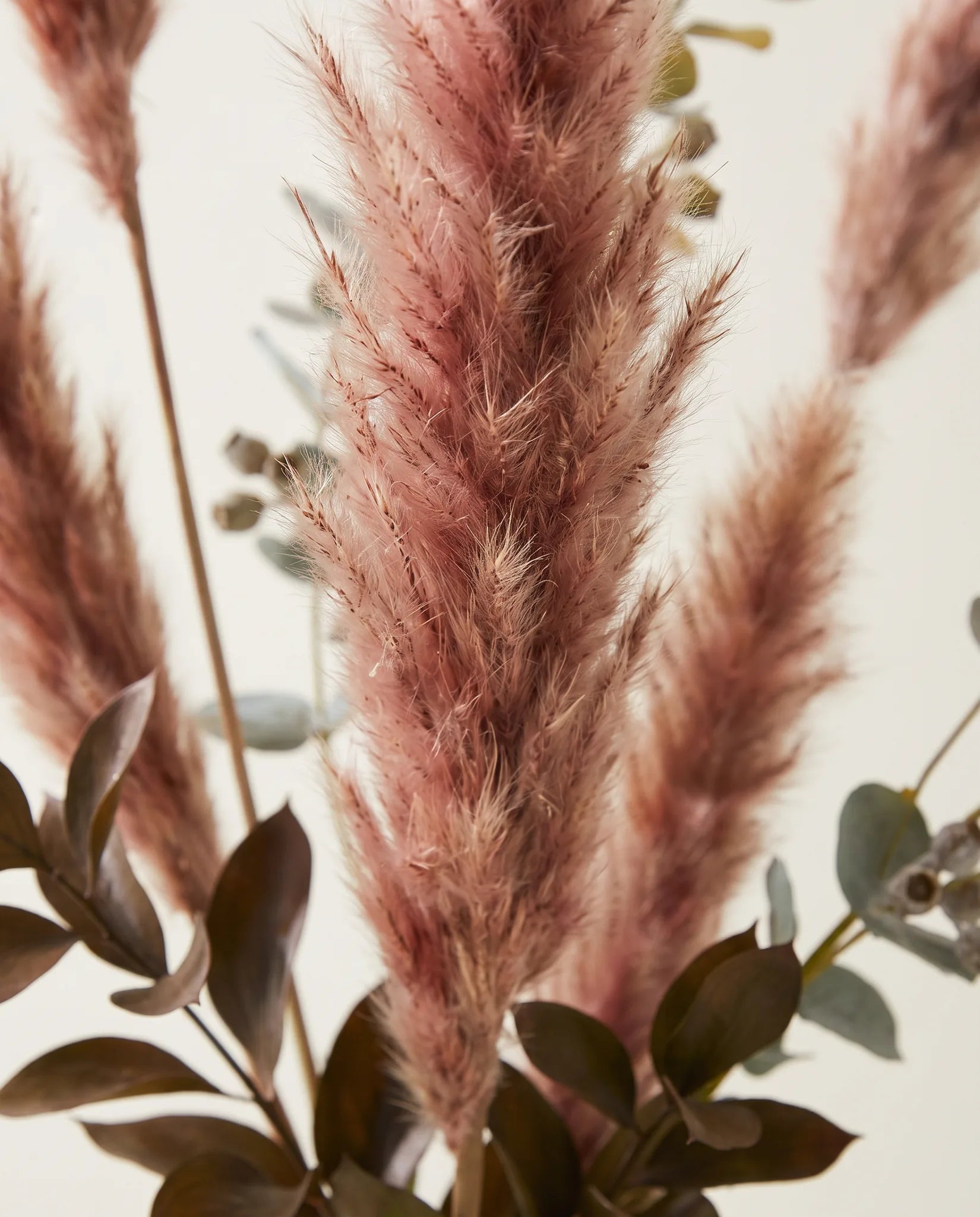 Gros plan sur le pennisetum artificiel de « Fumée d'Automne »