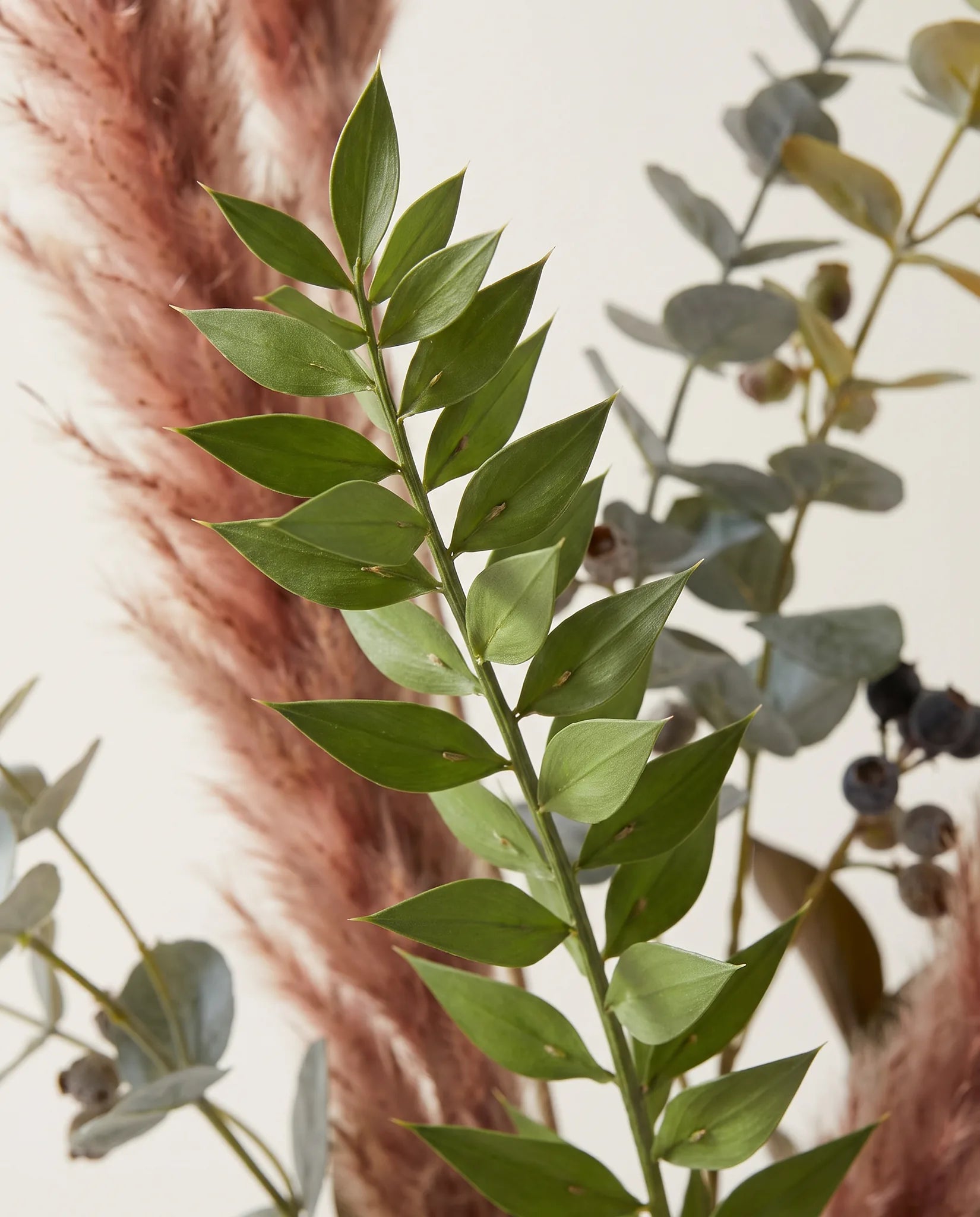 Gros plan sur le ruscus artificiel de « Fumée d'Automne »