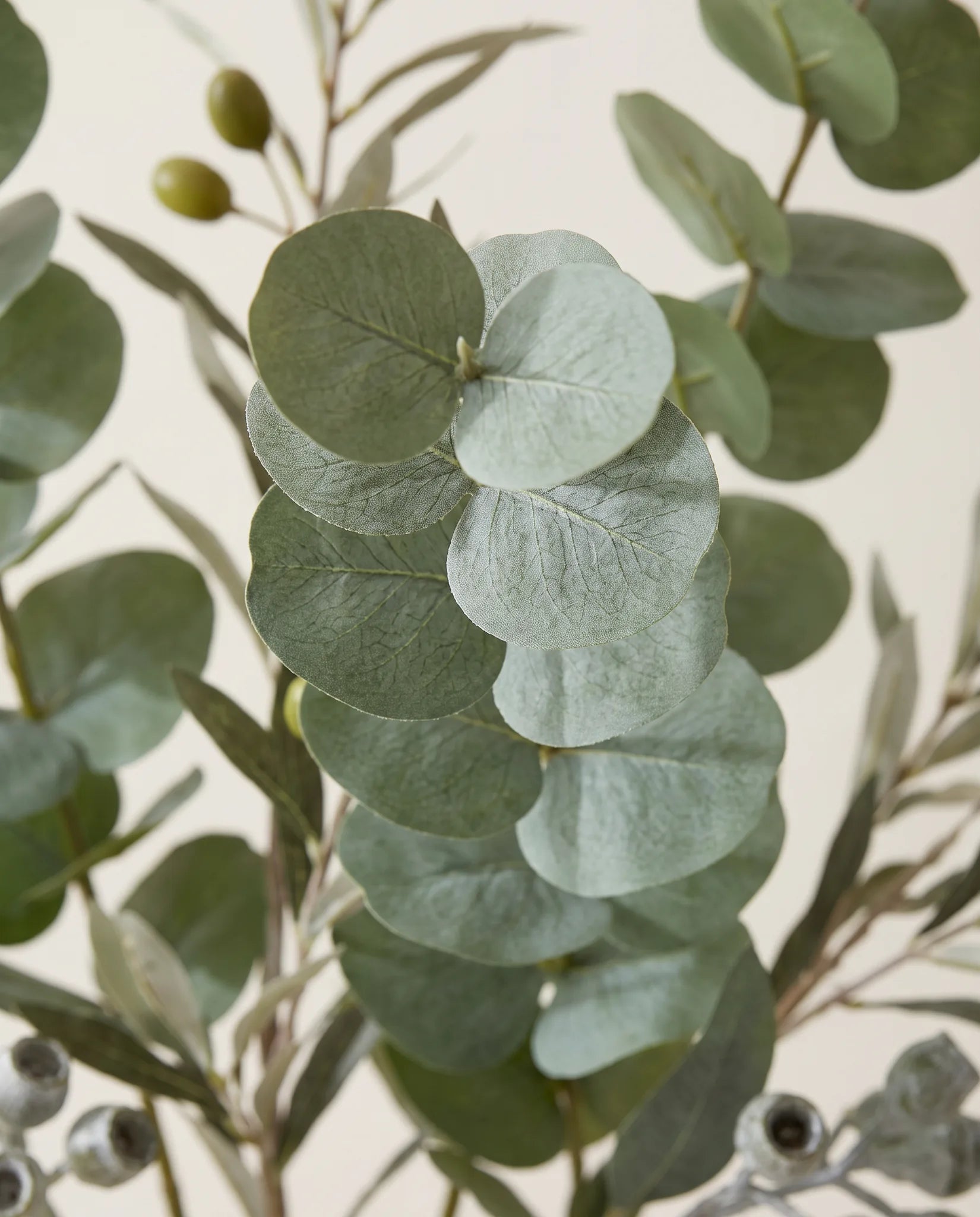Gros plan sur l'eucalyptus artificiel de « Grandes Branches »