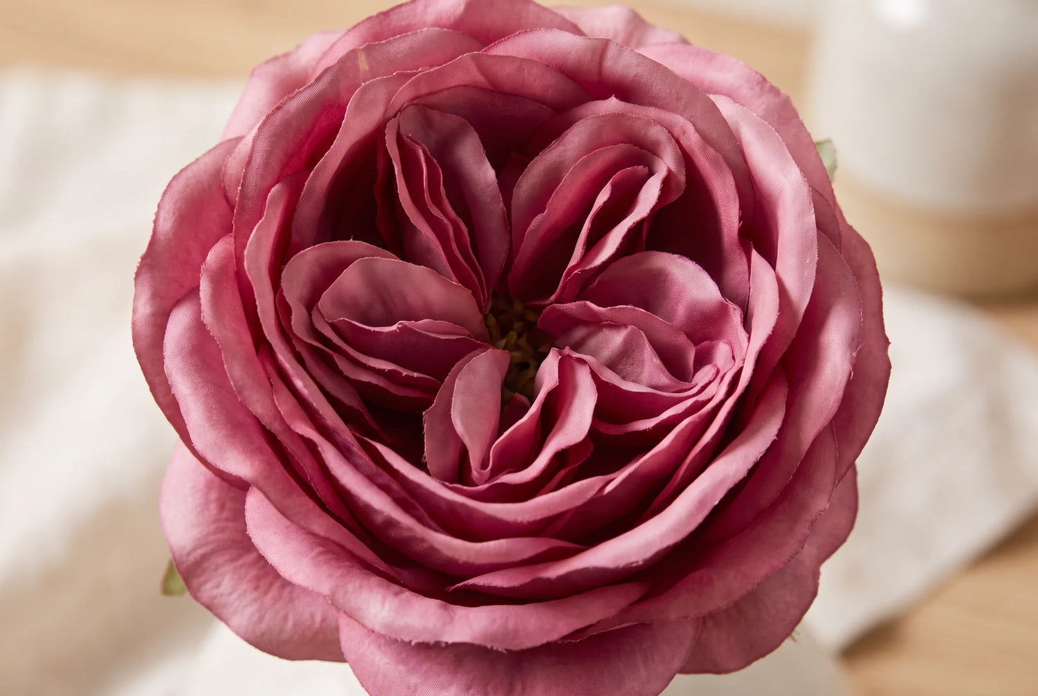 Macro d'un pétale de fleur artificielle montrant le dégradé de couleur du cœur vers les bords