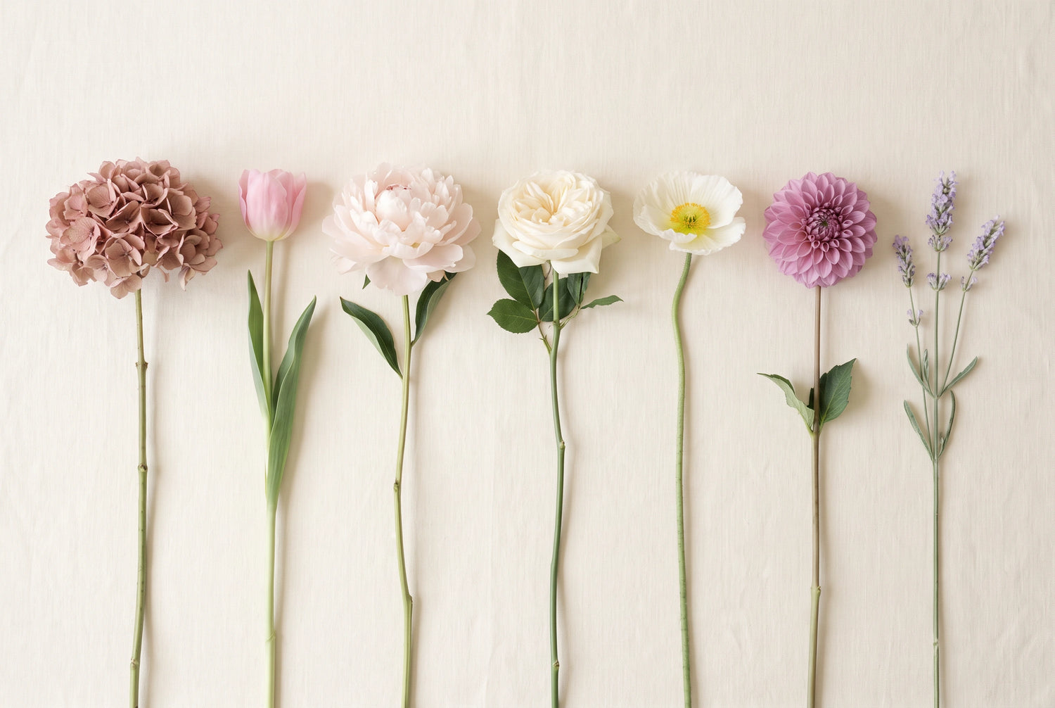 Message et langage des fleurs, mise en scene bouquet Flora Encore